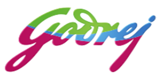 bigfish_logo