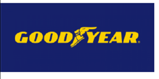 bigfish_logo