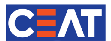 bigfish_logo